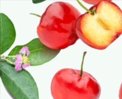Acerola fruit extract