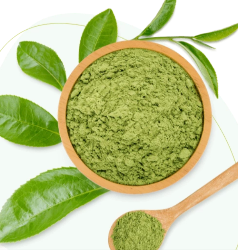 Matcha green tea leaves powder