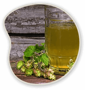Organic-Green-Tea-Hops